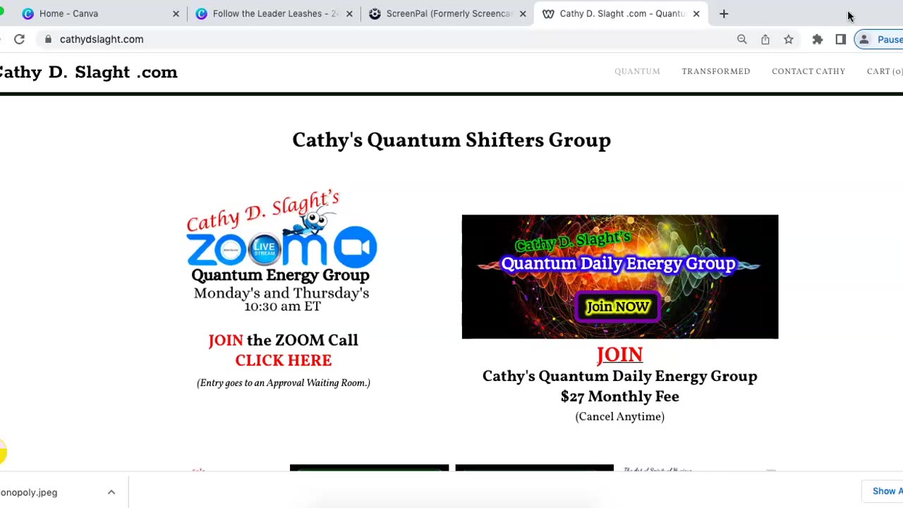 Cathy D. Slaght's Quantum Energy Group Zoom Call 3.23.2023