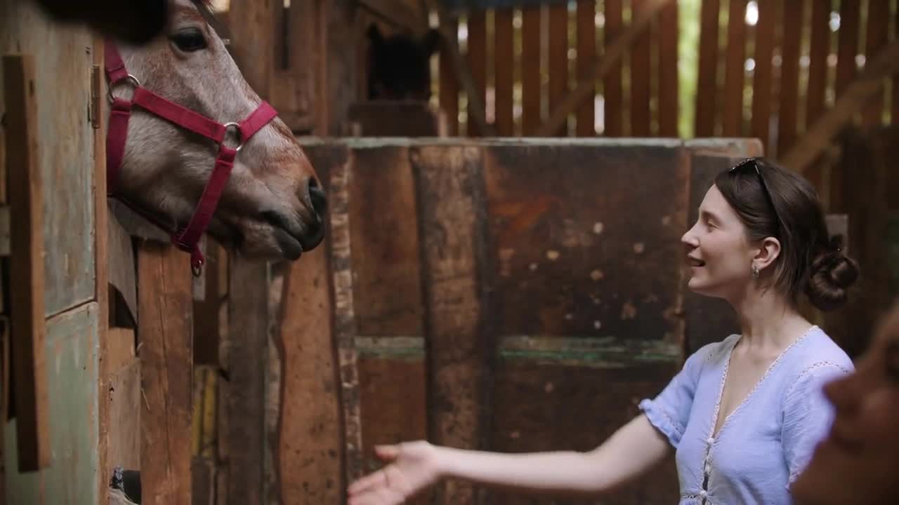 Two young women feeding carrots horses in paddock