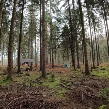Woodland camping.22nd Jan 2023