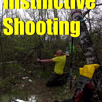 Robin Hood Bulls Eye Arrow