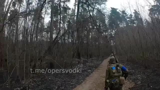 Ukraine War - A detachment of soldiers of the Armed Forces of Ukraine ambushed