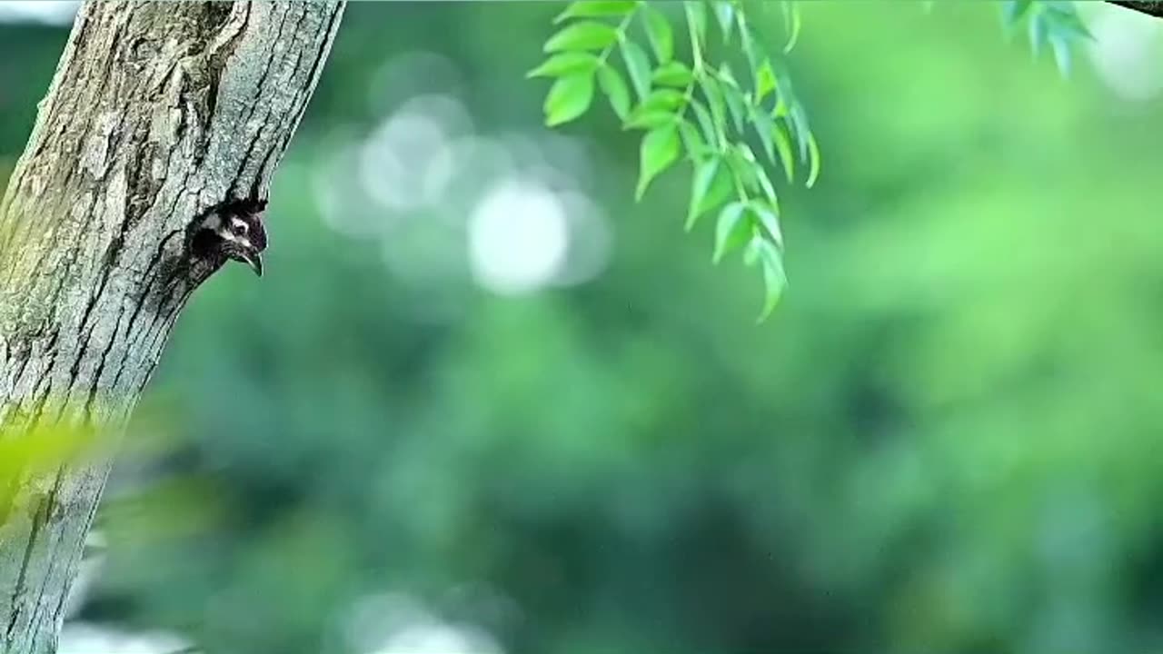 Wildlife closer view with a natural perspective.
