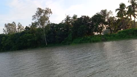 River view from boat