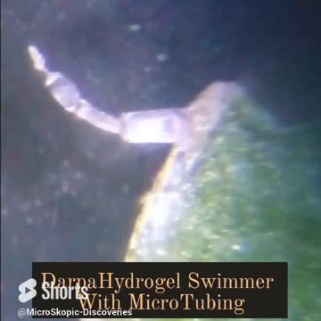 Carbon Nano Tubes on a Dandelion from dusted Quantum DOTS