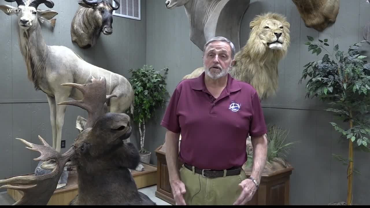 Bowman man makes living stuffing animals