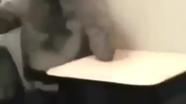 Free my nigga ace man😂😂😂😂😂😂😂😂