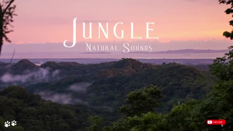 Relaxing Music | Sleeping, Meditation, Stress Relief | [696] ⭐️