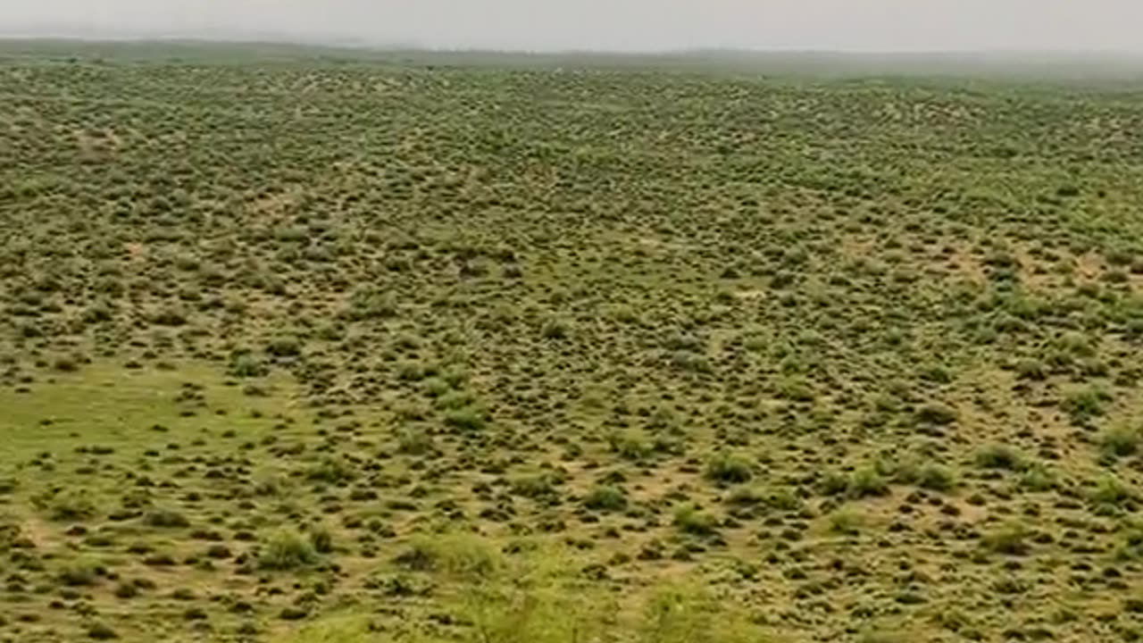 Bahawalpur desert beauty