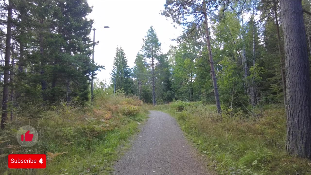 WALKTHROUGH FOREST OF #NORWAY #DRAMMEN - No Talking - No Music - 4K NATURE PART 4