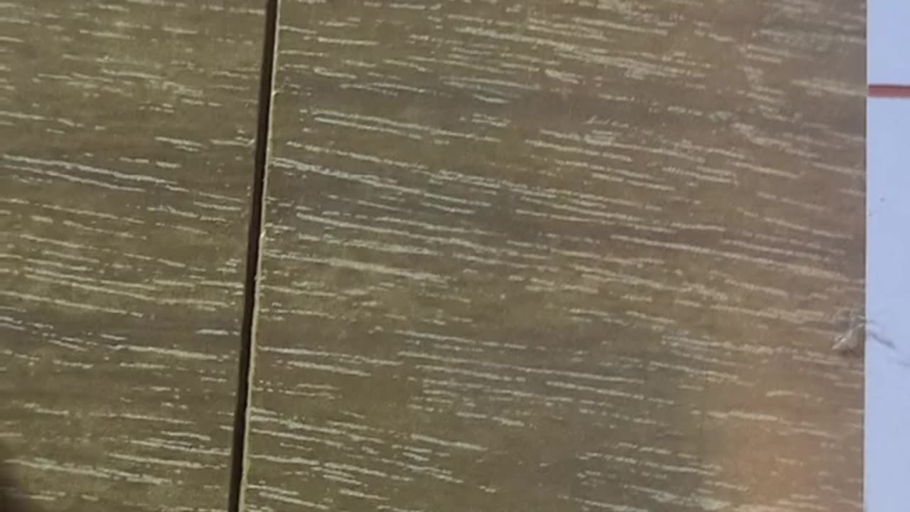 1-6: Shakala's potential grows