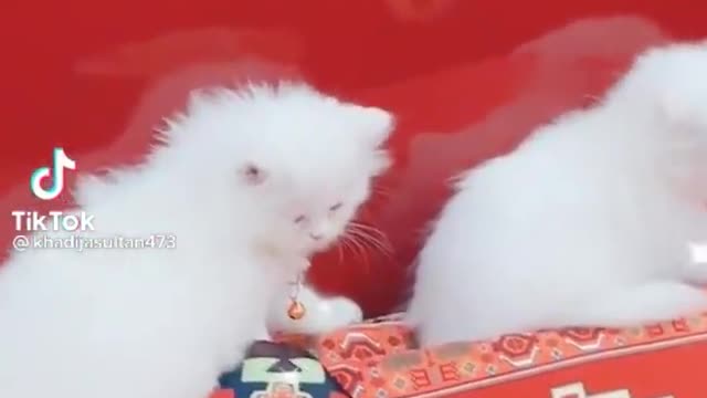 😂😂😆😂😂😆😆