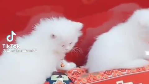 😂😂😆😂😂😆😆