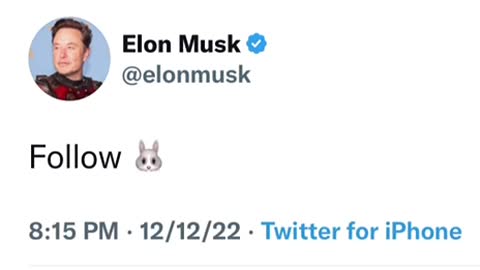Thoughts? Follow 🐰