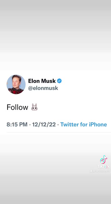 Thoughts? Follow 🐰