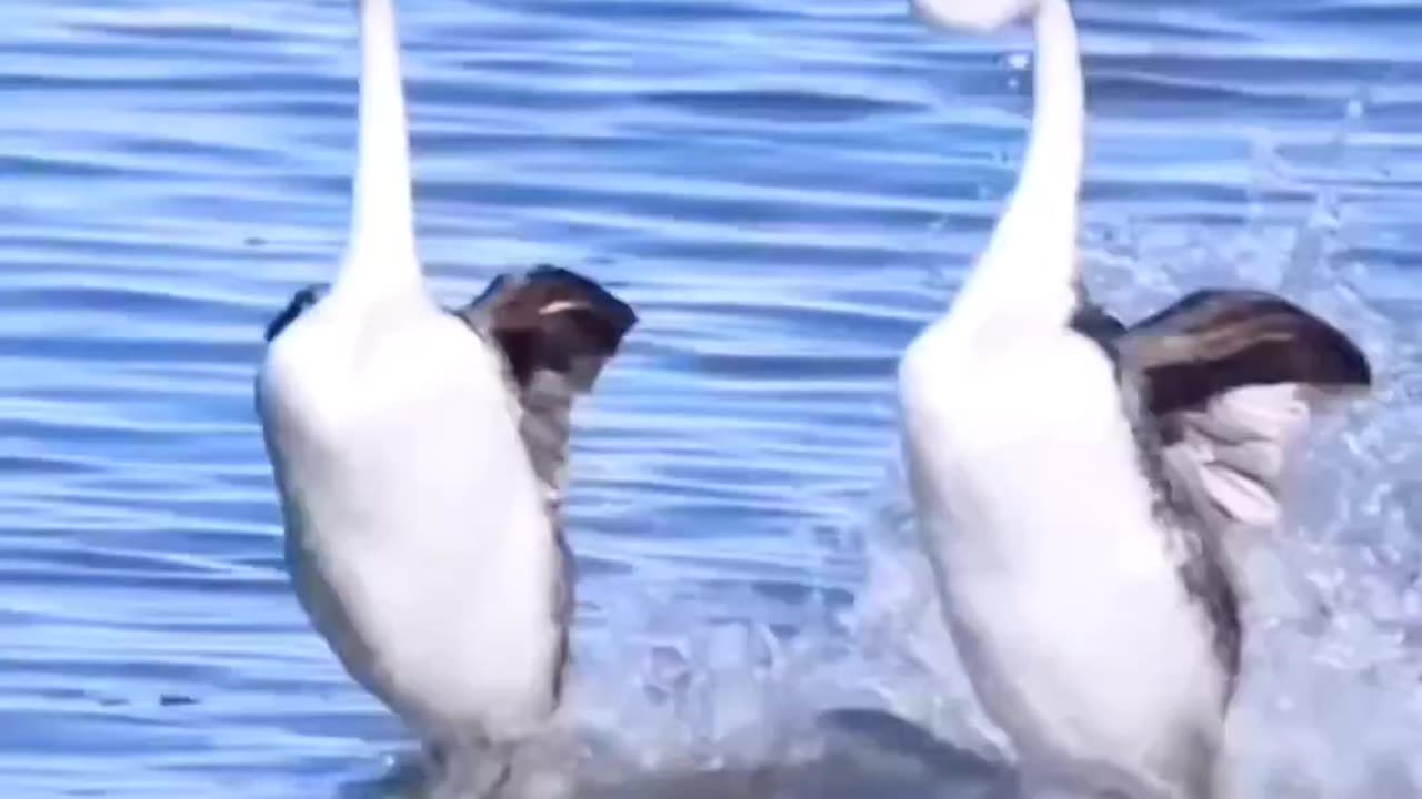 Nature lover