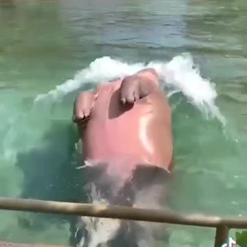 Enjoying My Swimming Time