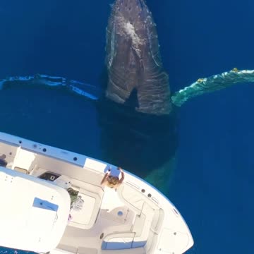 imagine what a moment 🤩😍