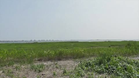 Jamaica Bay Wildlife Refuge