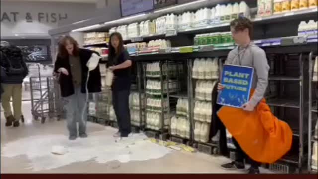 The world has gone mad for cows