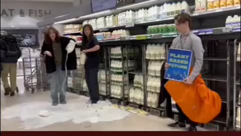 The world has gone mad for cows