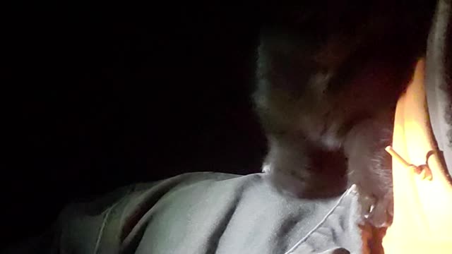 I have a shoulder cat and you don't