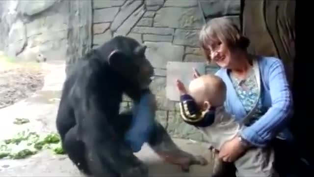 The monkey plays with the child in a strange way