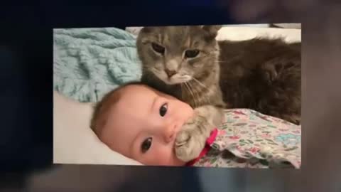 Cute baby playing cat