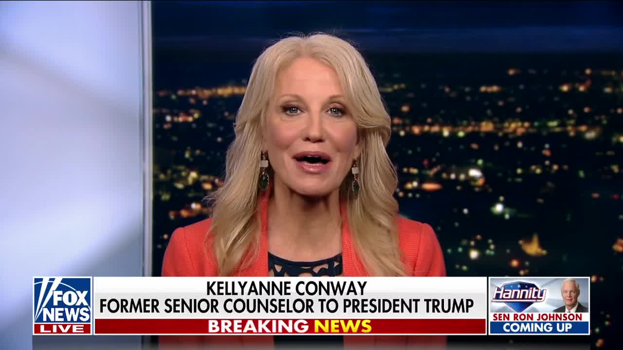 Kellyanne Conway predicts 'not a single Republican' incumbent will lose House or Senate