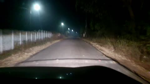 Rabbit Narrowly Avoids Getting Hit by Car