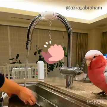 I'm super magnificent good helper！⁣