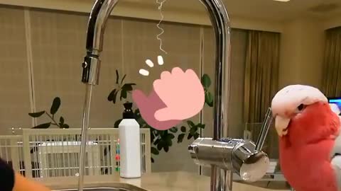 I'm super magnificent good helper！⁣