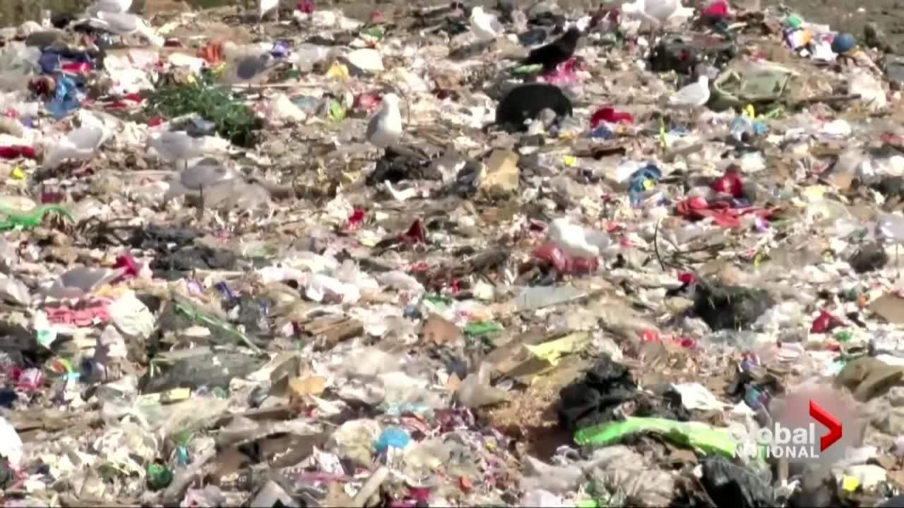 UN looks to tackle plastic pollution with potential treaty (1)