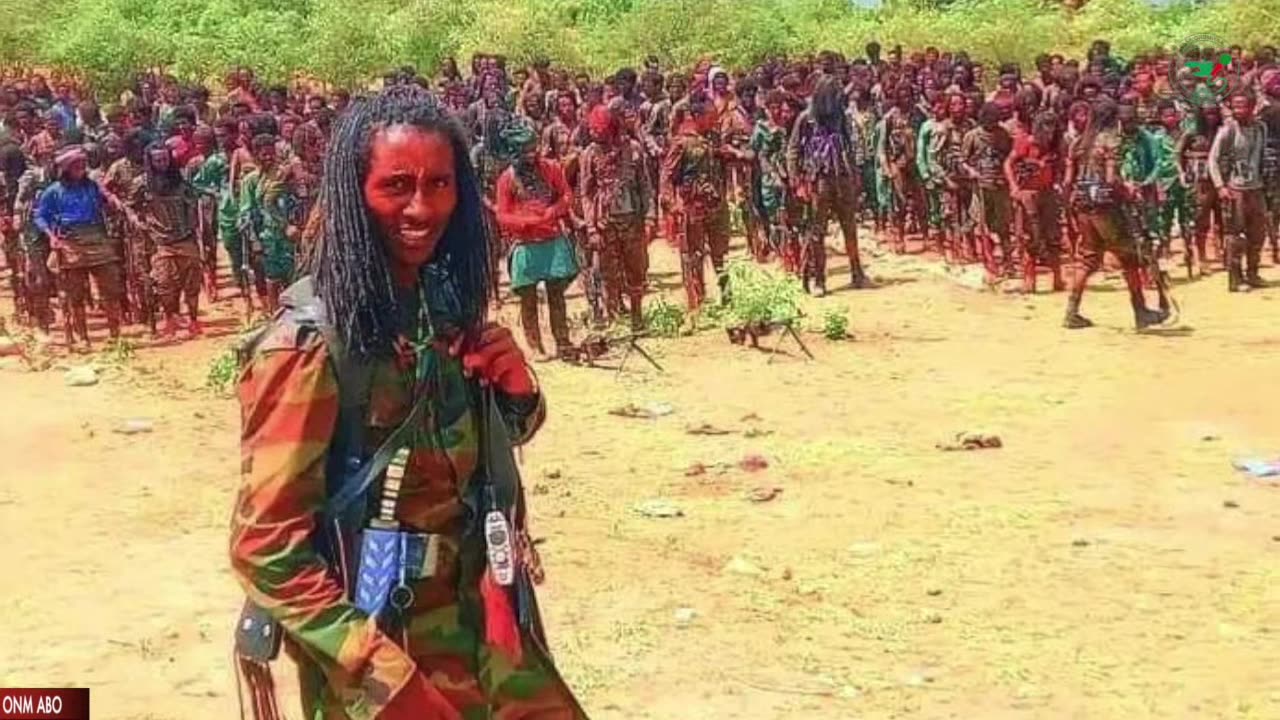 Oduu Tarkaanfii ONM-ABO Onoloolessa 23-2024 itti dhiyaadhaa!