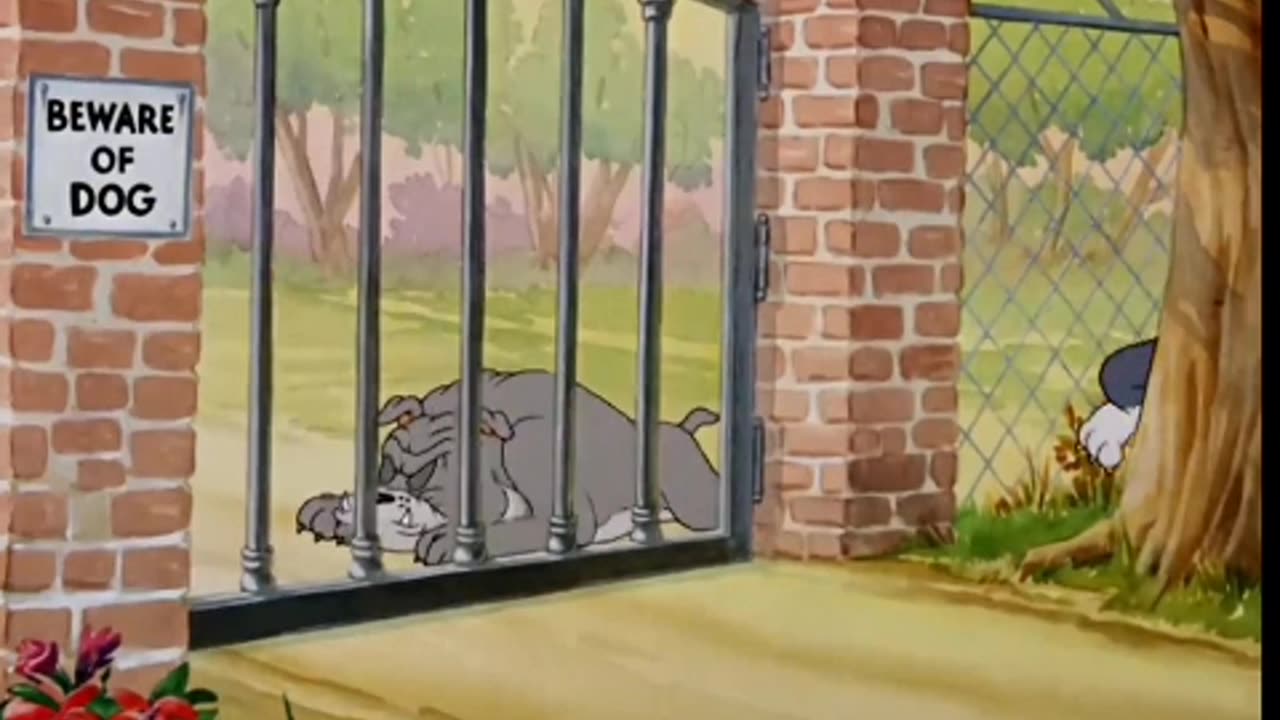 Tom and Jerry best comedy video