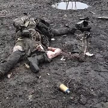 denazified - A bloody failure near Orlyanka