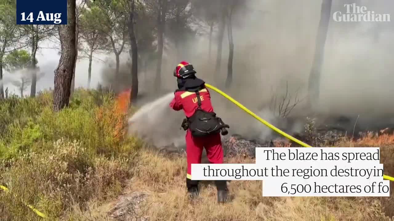 Wildfires tear through forests in Spain's south-eastern Valencia region