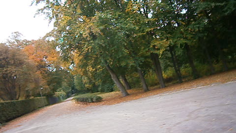 Promenerar vid Fredriksdals skog och omgivningar, Helsingborg 11 Okt.2013