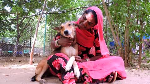 Street dog having violent seizure rescued on road