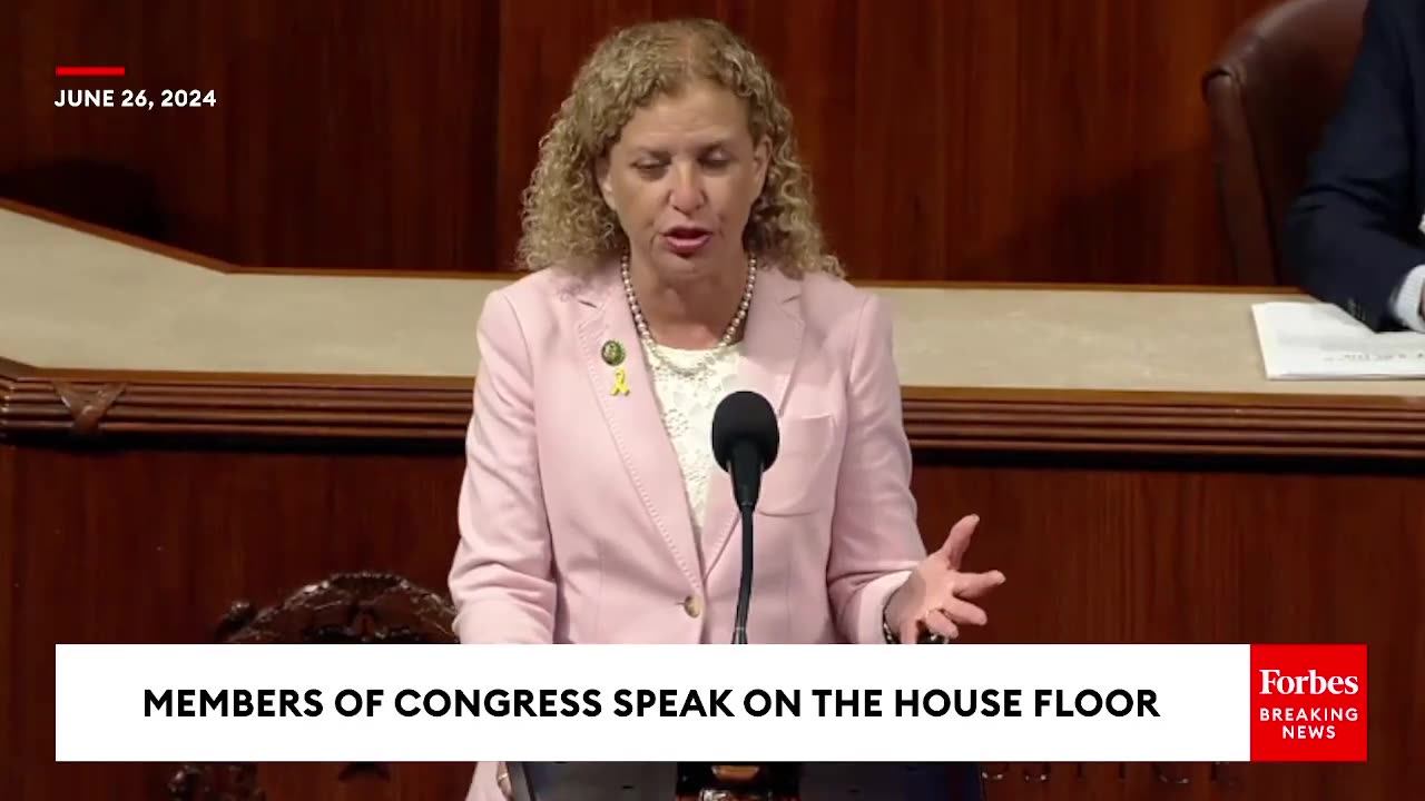 Just Can t Make This Stuff Up : Debbie Wasserman Schultz Pans GOP s Homeland Security Funding Bill