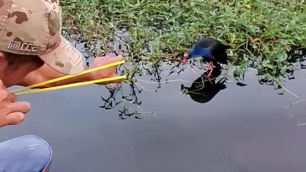 Funny video