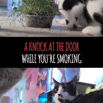 When there's an unexpected KNOCK at the DOOR!