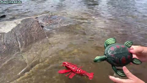 Sea Animal Toys This Summer at the Shore_Full-HD_60fps