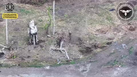 Russians Leave Their Own Behind