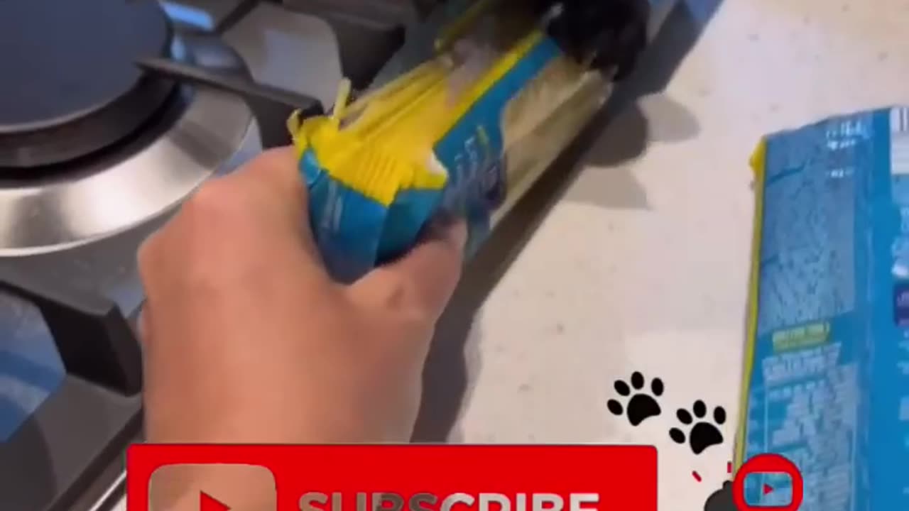 Funny animals 2023😆 - Funniest Cats and Dogs Video🐕🐈10 #shorts #funny #funnyvideos