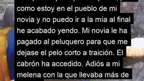 Asco de Vida #181