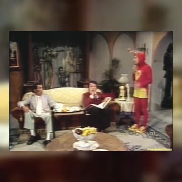 SHORT - CHAPOLIN - Aristocratas Vemos, Gatunos Não Sabemos