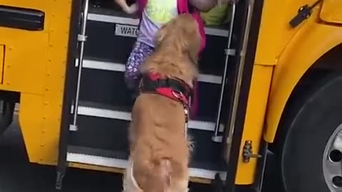 Every day, Golden's little girl is picked up from the bus stop by him.