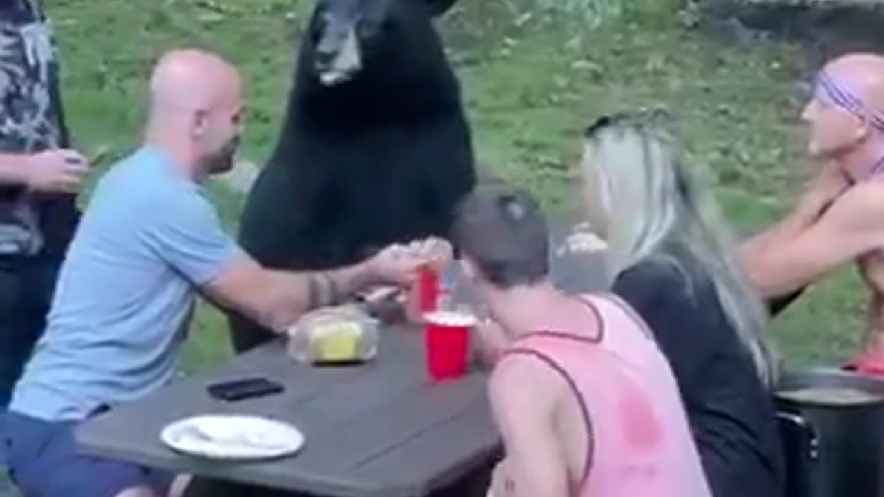 Bear invited for picnic breakfast | 🐻 ❤️