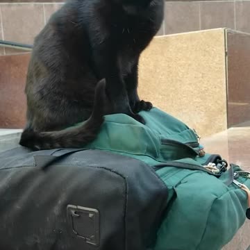 20240419 165133 Tux Backpacking