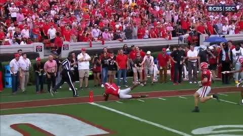 the best punt in football history_
